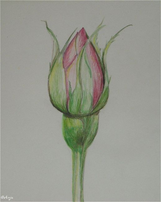 Schliessen von DSC00009n.jpg