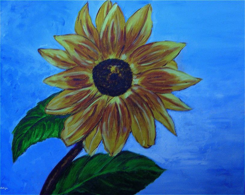 Schliessen von DSC00574n.jpg