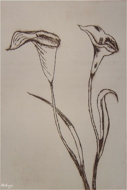 Schliessen von DSC01603n.jpg