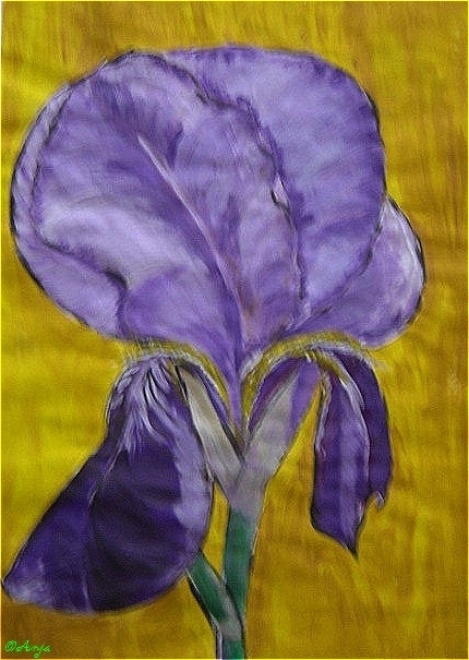 Schliessen von DSC02453.jpg