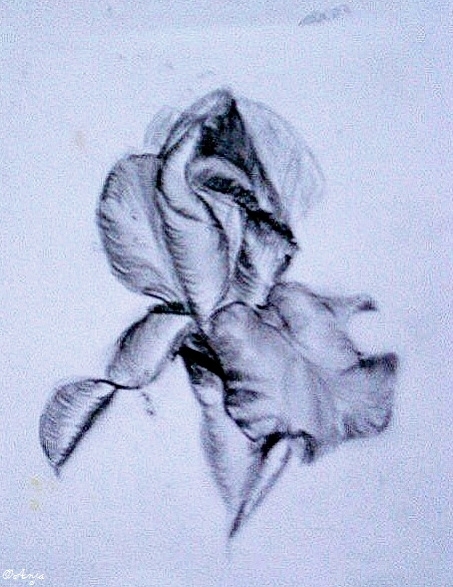 Schliessen von DSC02484.jpg