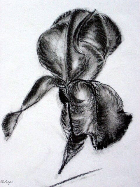 Schliessen von DSC02485.jpg