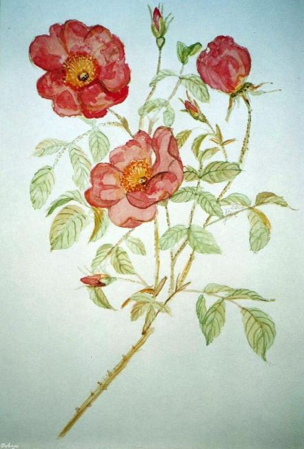 Schliessen von img013cg.jpg