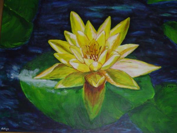 Klick f&uuml;r Originalgr&ouml;&szlig;e :DSC00004n.jpg