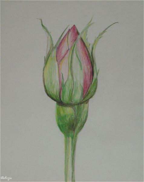 Klick f&uuml;r Originalgr&ouml;&szlig;e :DSC00009n.jpg