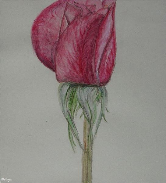 Klick f&uuml;r Originalgr&ouml;&szlig;e :DSC00010n.jpg