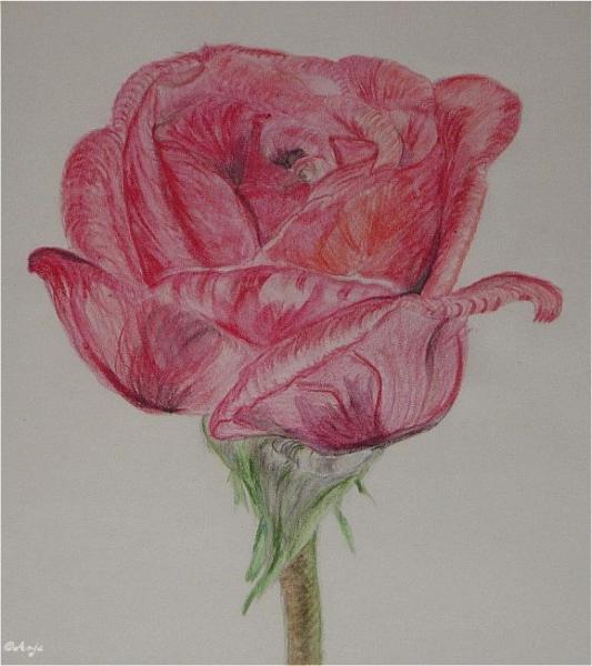 Klick f&uuml;r Originalgr&ouml;&szlig;e :DSC00011n.jpg