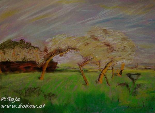 Klick f&uuml;r Originalgr&ouml;&szlig;e :DSC00576a.jpg