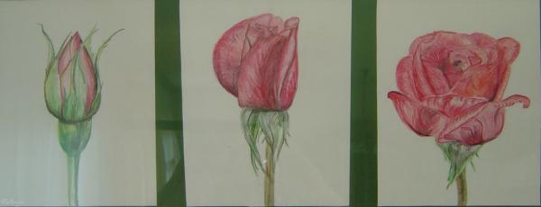 Klick f&uuml;r Originalgr&ouml;&szlig;e :DSC00586.jpg