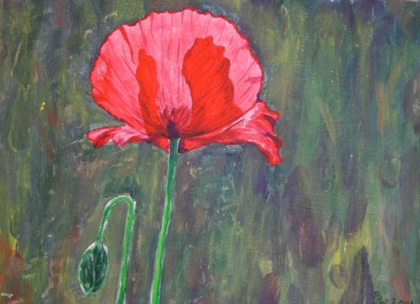 Klick f&uuml;r Originalgr&ouml;&szlig;e :DSC00769n.jpg