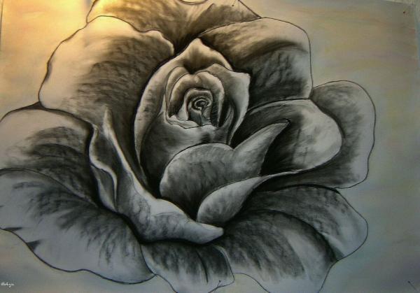 Klick f&uuml;r Originalgr&ouml;&szlig;e :DSC00807n.jpg