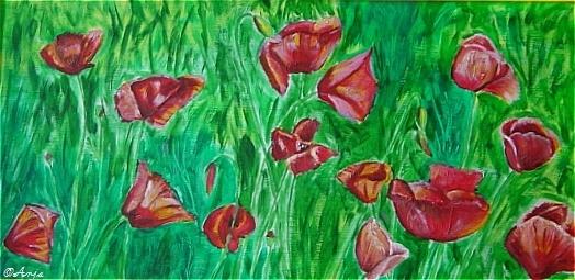 Klick f&uuml;r Originalgr&ouml;&szlig;e :DSC02441.jpg