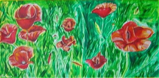 Klick f&uuml;r Originalgr&ouml;&szlig;e :DSC02442.jpg