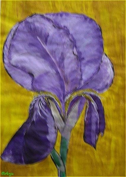 Klick f&uuml;r Originalgr&ouml;&szlig;e :DSC02453.jpg