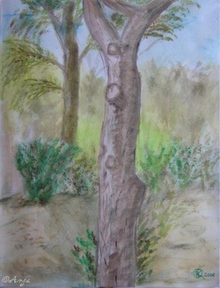 Klick f&uuml;r Originalgr&ouml;&szlig;e :DSC02474.jpg