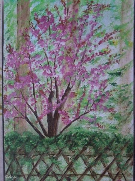 Klick f&uuml;r Originalgr&ouml;&szlig;e :DSC02479.jpg