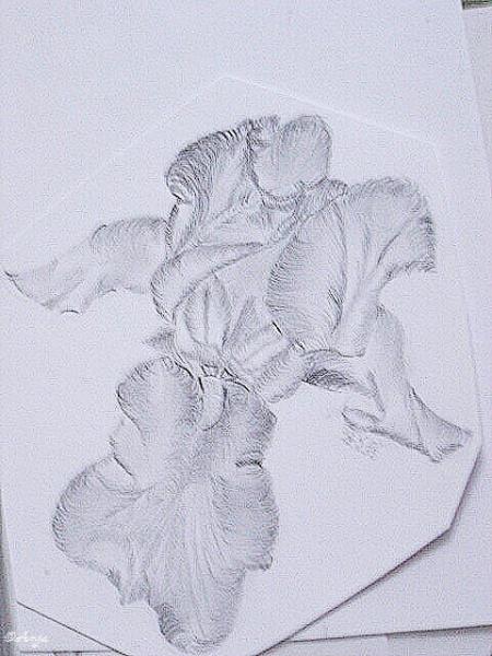 Klick f&uuml;r Originalgr&ouml;&szlig;e :DSC02482.jpg