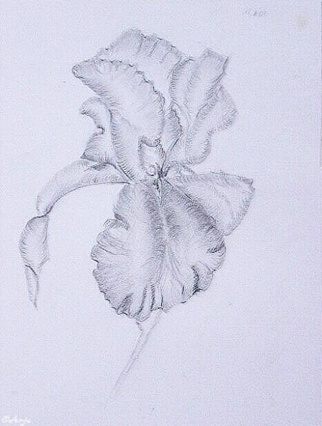 Klick f&uuml;r Originalgr&ouml;&szlig;e :DSC02483.jpg