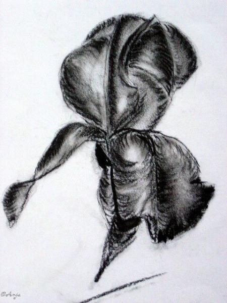 Klick f&uuml;r Originalgr&ouml;&szlig;e :DSC02485.jpg