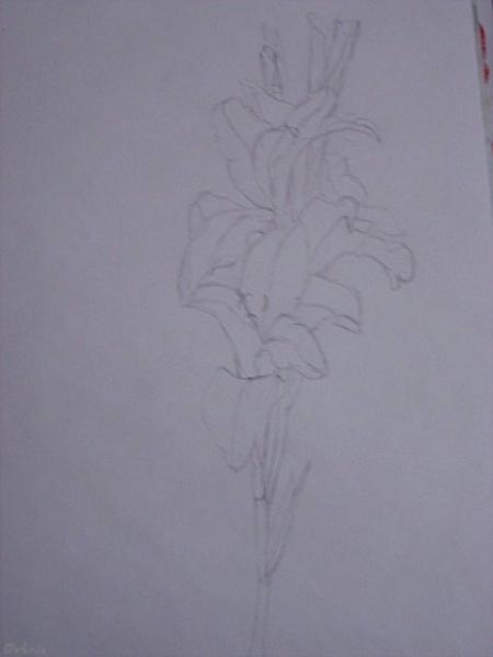 Klick f&uuml;r Originalgr&ouml;&szlig;e :DSC02496.jpg