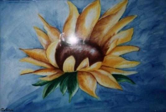 Klick f&uuml;r Originalgr&ouml;&szlig;e :img004.jpg