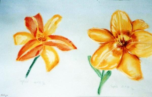 Klick f&uuml;r Originalgr&ouml;&szlig;e :img018.jpg