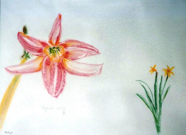 Klick f&uuml;r Originalgr&ouml;&szlig;e :img019n.jpg