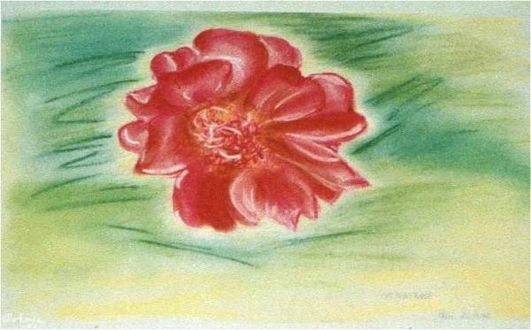 Klick f&uuml;r Originalgr&ouml;&szlig;e :img026.jpg