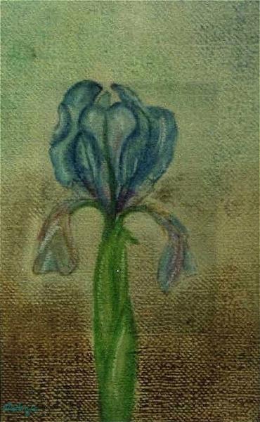 Klick f&uuml;r Originalgr&ouml;&szlig;e :img051.jpg