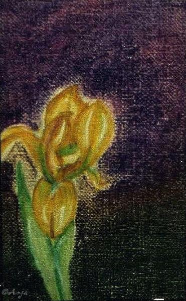 Klick f&uuml;r Originalgr&ouml;&szlig;e :img052.jpg