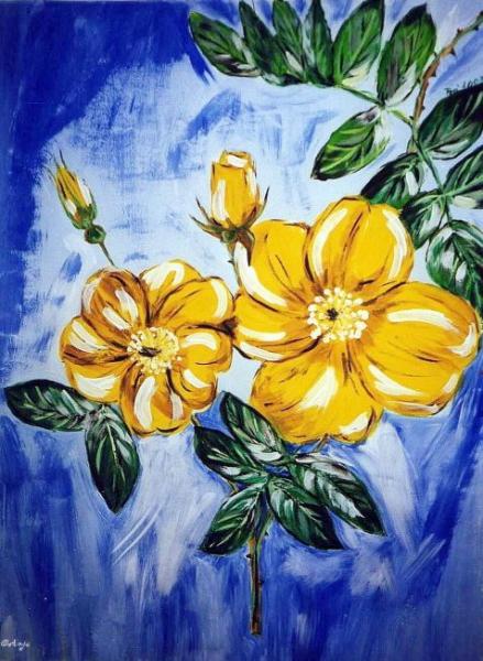 Klick f&uuml;r Originalgr&ouml;&szlig;e :img092n.jpg