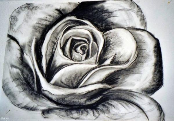 Klick f&uuml;r Originalgr&ouml;&szlig;e :img093n.jpg