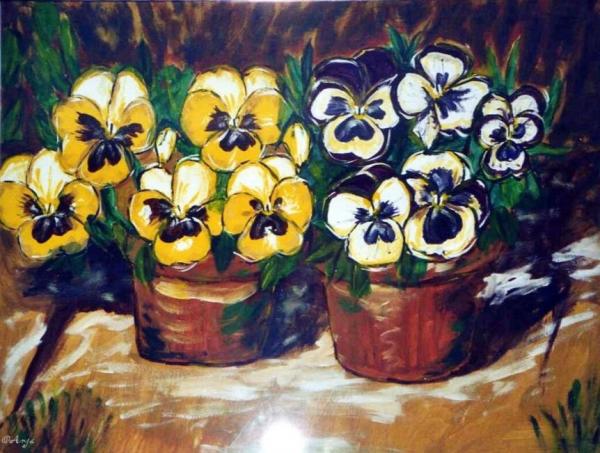 Klick f&uuml;r Originalgr&ouml;&szlig;e :img096n.jpg