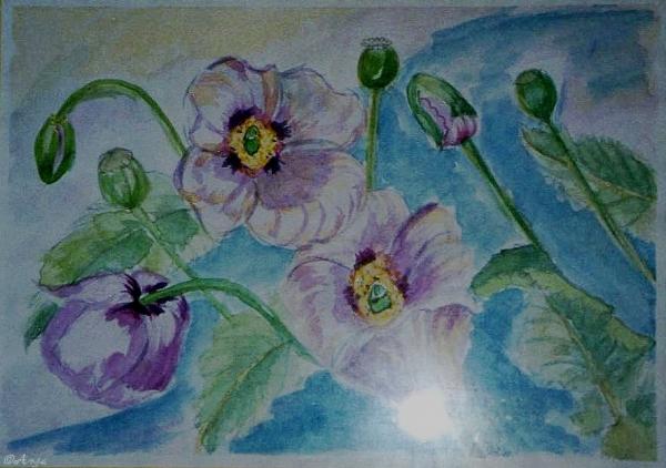 Klick f&uuml;r Originalgr&ouml;&szlig;e :img097.jpg