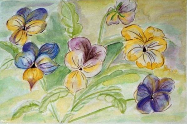 Klick f&uuml;r Originalgr&ouml;&szlig;e :img098.jpg