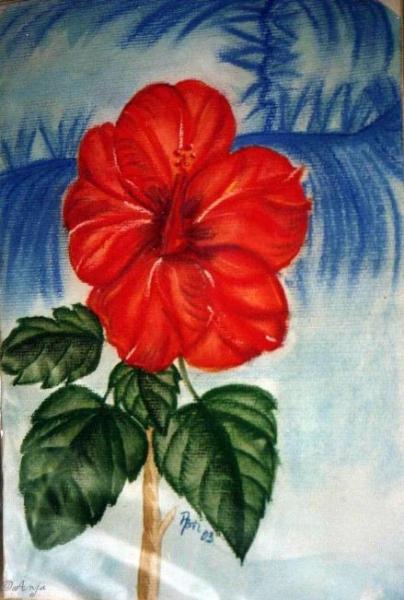 Klick f&uuml;r Originalgr&ouml;&szlig;e :img100n.jpg