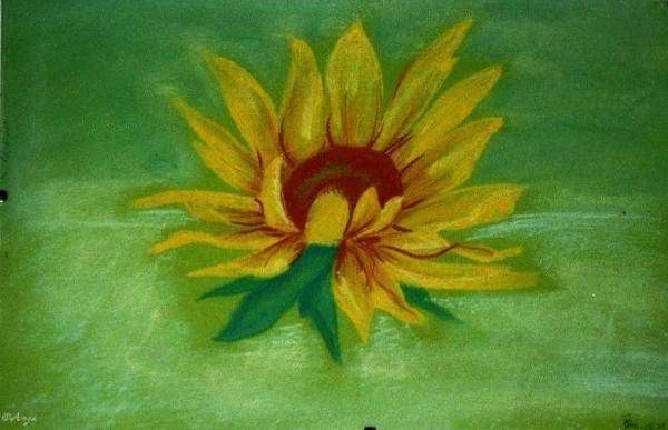 Klick f&uuml;r Originalgr&ouml;&szlig;e :img103.jpg