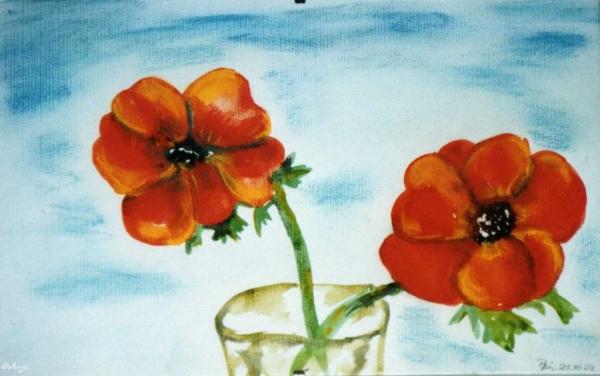 Klick f&uuml;r Originalgr&ouml;&szlig;e :img105.jpg