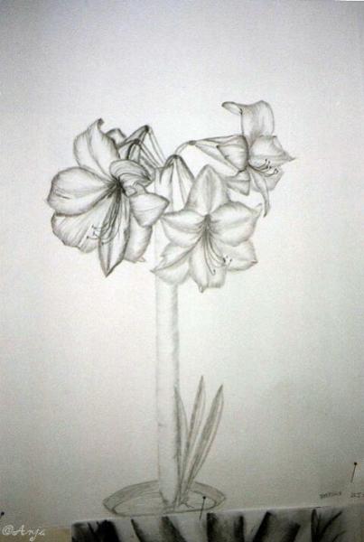 Klick f&uuml;r Originalgr&ouml;&szlig;e :img115.jpg