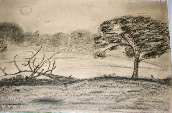 Klick f&uuml;r Originalgr&ouml;&szlig;e :img081a.jpg