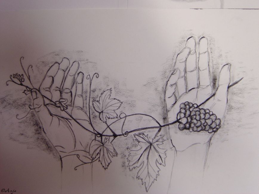 Schliessen von DSC00575.jpg