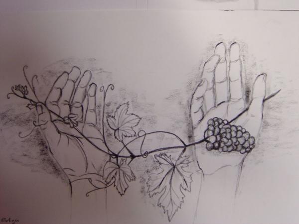 Klick f&uuml;r Originalgr&ouml;&szlig;e :DSC00575.jpg