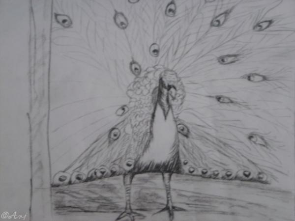 Klick f&uuml;r Originalgr&ouml;&szlig;e :DSC02481c.jpg