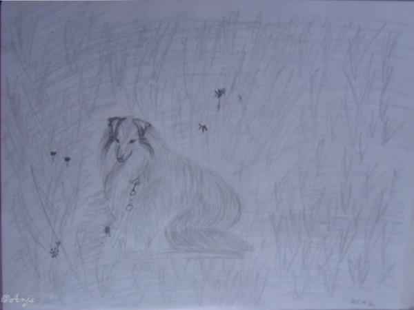 Klick f&uuml;r Originalgr&ouml;&szlig;e :DSC02493c.jpg