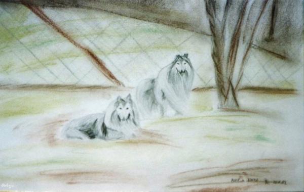 Klick f&uuml;r Originalgr&ouml;&szlig;e :img023.jpg