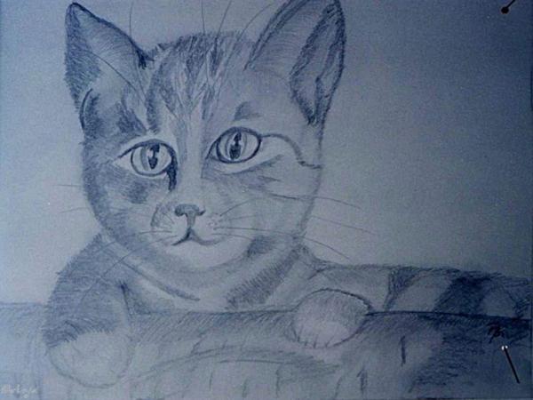 Klick f&uuml;r Originalgr&ouml;&szlig;e :img063.jpg