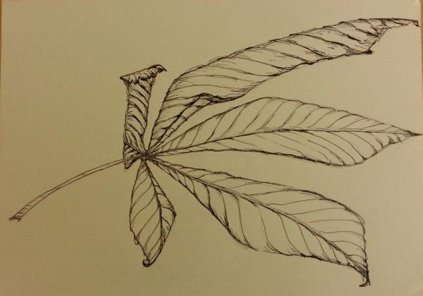 Klick f&uuml;r Originalgr&ouml;&szlig;e :002_2014-03-1721.35.jpg