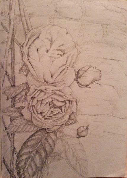 Klick f&uuml;r Originalgr&ouml;&szlig;e :003_2015-01-0523.36.01-1_kopie.jpg