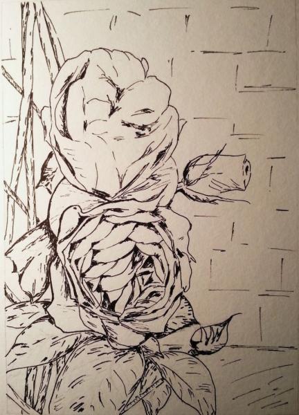 Klick f&uuml;r Originalgr&ouml;&szlig;e :004_2016-01-1623.16.15_b.jpg