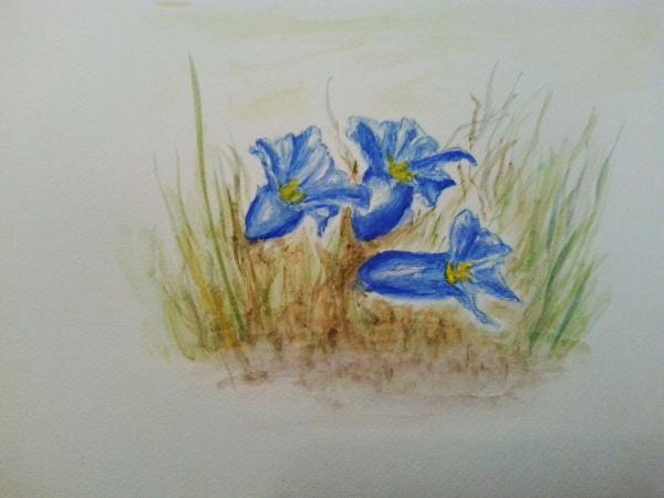 Klick f&uuml;r Originalgr&ouml;&szlig;e :002_2018-03-1017.00.25_b.jpg